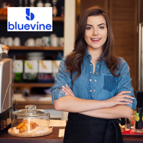 BlueVine Term Loan: Fast Credit for Small Businesses